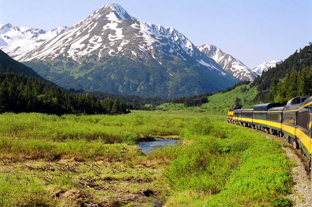 Alaska- A Train Moving Through the Snow Covered Mountains A gorgeous panorama of a train traveling through the snow capped mountains of Alaska, on the way to Denali National Park. denali mountain stock pictures, royalty-free photos & images