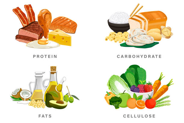 ilustraciones, imágenes clip art, dibujos animados e iconos de stock de grupo básico de nutrición para la energía diaria. - carbohidrato
