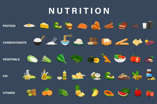 пример пять продуктов питания группы питания для ежедневной энергии. - bakery meat bread carbohydrate stock illustrations
