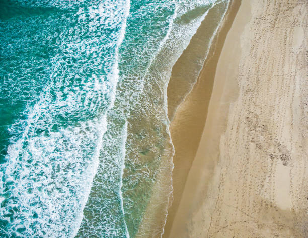 istock Drone point of view Florida Beach and Ocean 1313559593