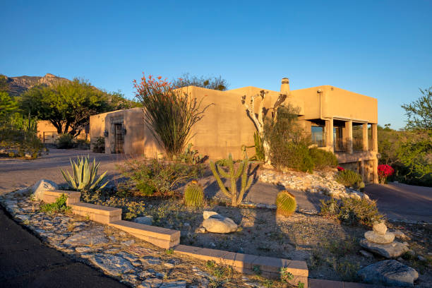 istock Contemporary adobe home at sunset 1313562335
