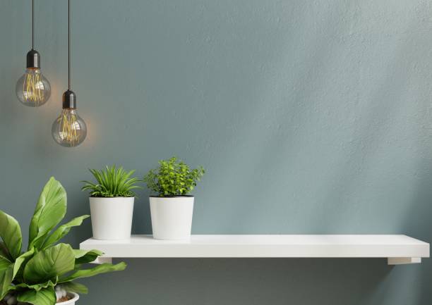 istock Interior wall mockup with green plant,Light blue wall and shelf. 1313569226