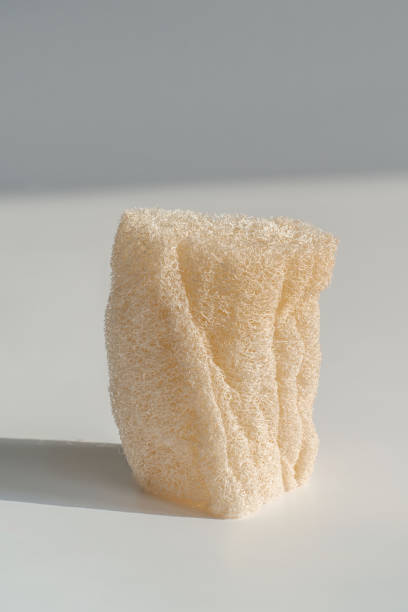 istock Loofah natural sponge on the white background. 1313569979