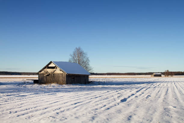 istock Two Old Barn Houses On The Snowy Fields 1313572384