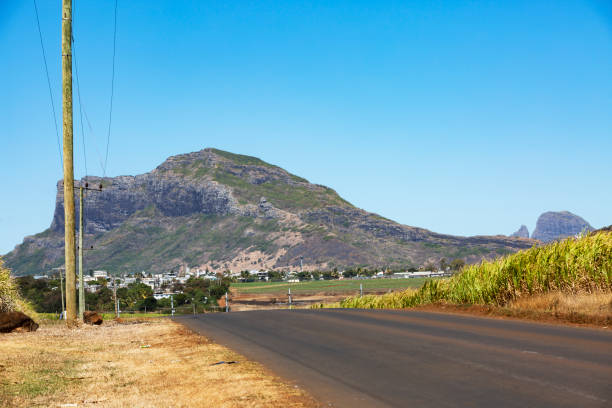 istock field against blue sky and mountain. 1313574108