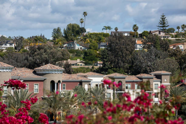 istock Mission Viejo, California 1313577622