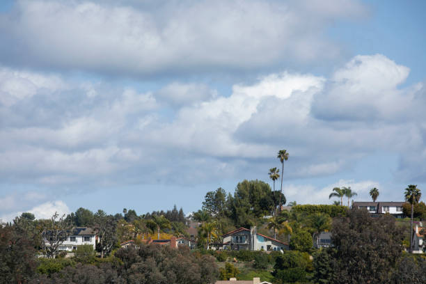 istock Mission Viejo, California 1313577623