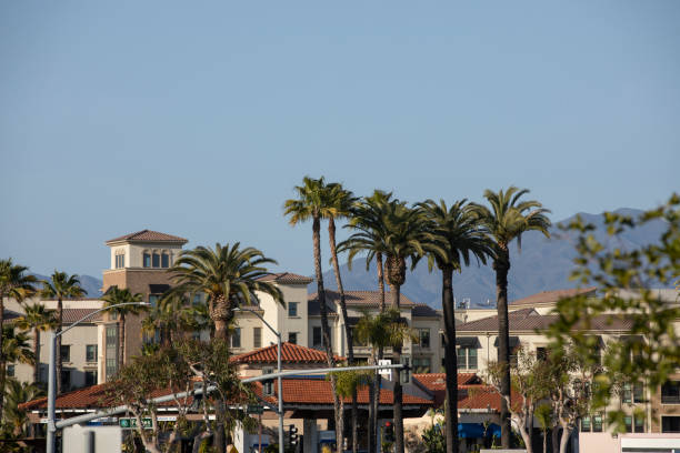 istock Laguna Niguel, California 1313578388