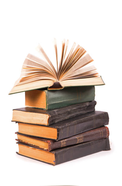 istock Pile of books isolated on white background 1313579517