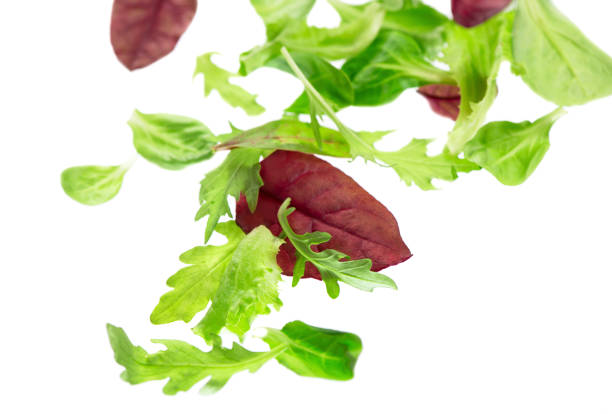 istock Fresh green leaves lettuce salad isolated on white background 1313582481