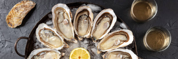 istock Oyster panorama with lemons and white wine, a flat lay, top shot 1313584915
