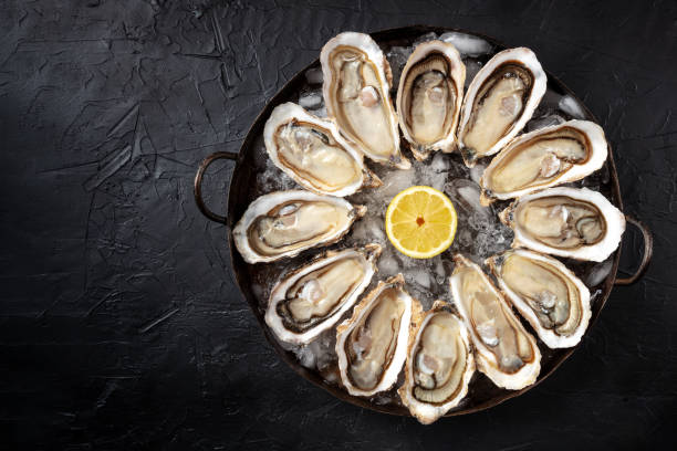 istock Oysters. A dozen raw oysters, shot from the top with copy space 1313584919