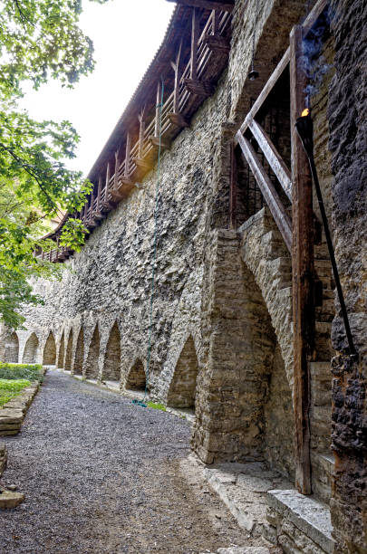 istock Old town - along the city walls 1313584991