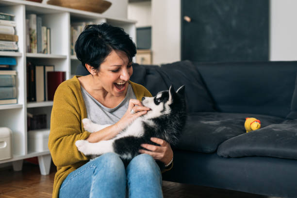 istock woman playing with her puppy at home 1313585272