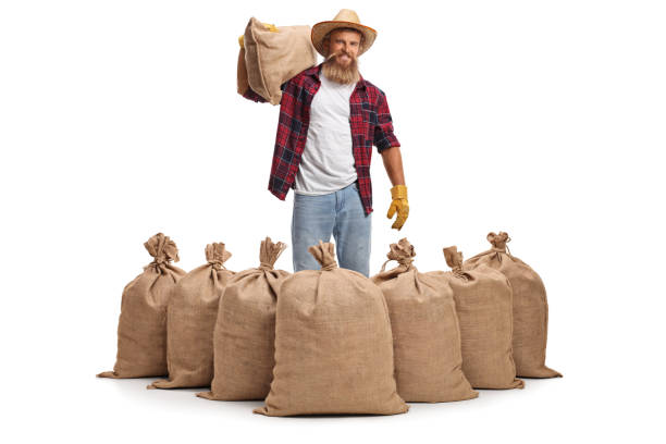 istock Young bearded farmer carrying a sack on his shoulder and posing behind many sacks 1313587169