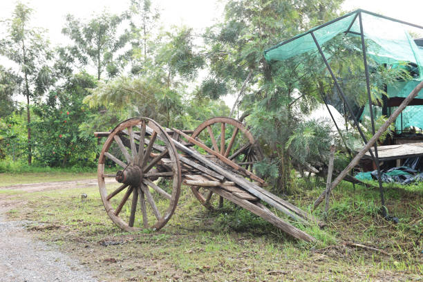 istock Old traditional Thai farmer two wheel cart 1313588213