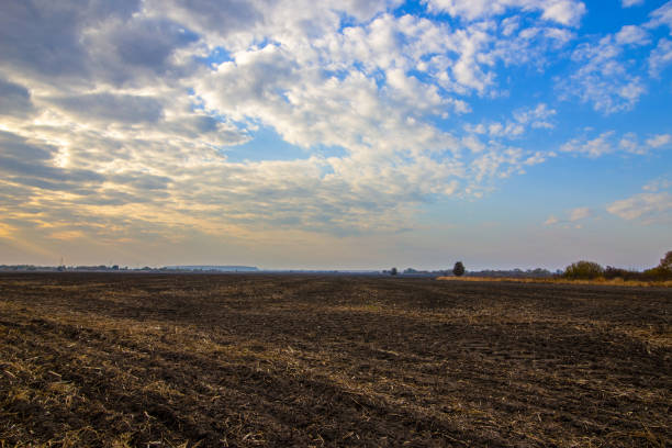 istock Agricultural field and blue beautiful sky 1313592360