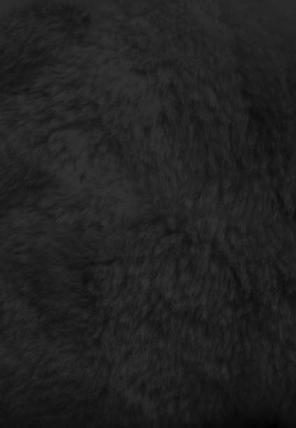 istock Black fur background close up view. 1313592382