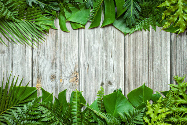 istock Creative nature layout made of tropical leaves. Summer concept. 1313592456