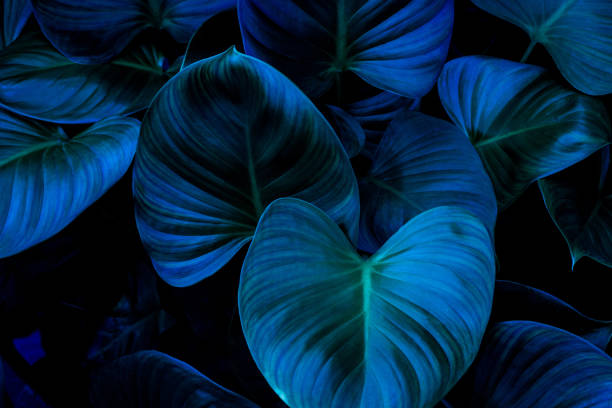 istock Full Frame of Colorful Leaves Texture Background. tropical leaf 1313594519