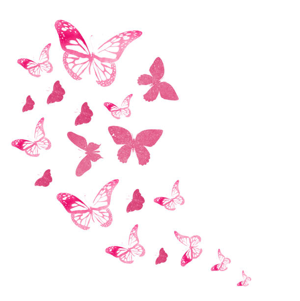 Flock of silhouette butterflies on white