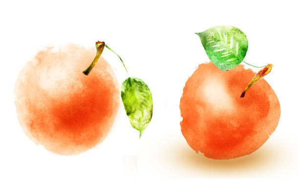 istock Watercolor apples on white background 1313594787