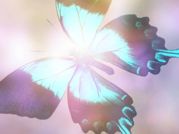 istock Natural background with natural butterfly 1313594808