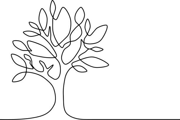 흰색 배경에 나무의 연속 선 그리기. 벡터 일러스트레이션 - 한 줄로 일러스트 stock illustrations
