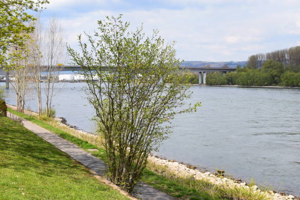 istock waterfront wat at the Rhine near Koblenz 1313601362