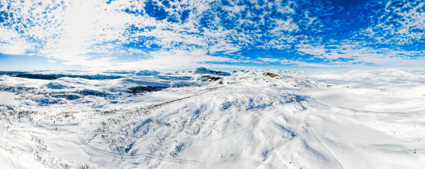 istock Stunning panoramic view over snow capped arctic mountains and wilderness terrain on a clear cold winters day. 1313602948