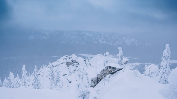 istock Winter landscape with snow forest on hillside, rocks under cloudy sky 1313605696