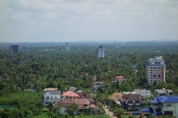 istock Aerial view of Kochi 1313606061