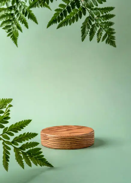 Photo of Wooden podium to show cosmetic products with fern leaf on green background. Modern still life.
