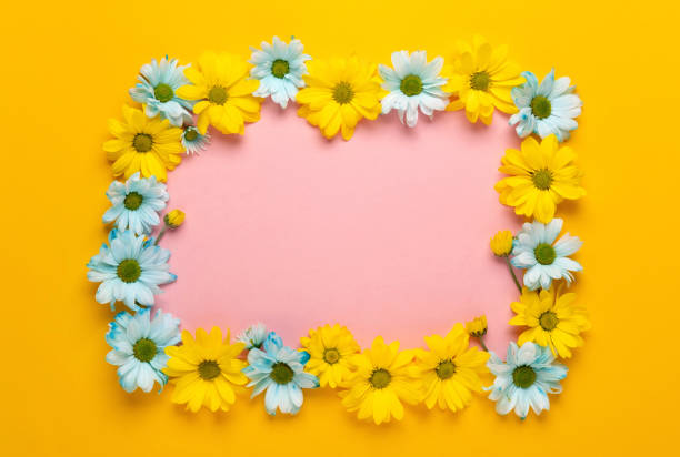 istock Spring flowers frame. Floral wreath on yellow background. Springtime. Flat lay, top view. 1313610604