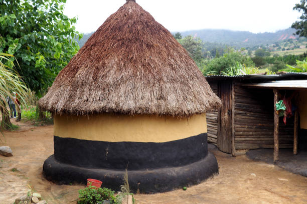 istock Traditional African mud hut in a village 1313611704