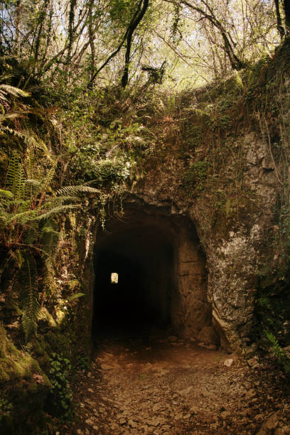 istock Cave entrance in a forest 1313612901