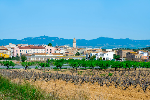 a panoramic view over Nulles, a small farming village in Tarragona Province in Catalonia, Spain, higlighting the bell tower of its church, dedicated to Saint John the Baptist