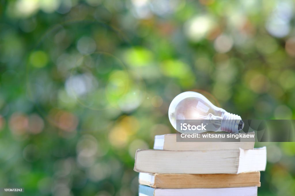 energy saving light bulb and book on table Sustainable Resources Stock Photo