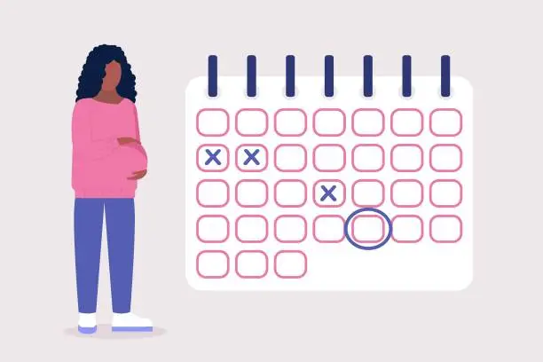 Vector illustration of Pregnant calendar