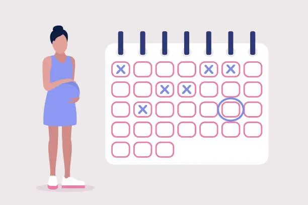 Vector illustration of Pregnant calendar