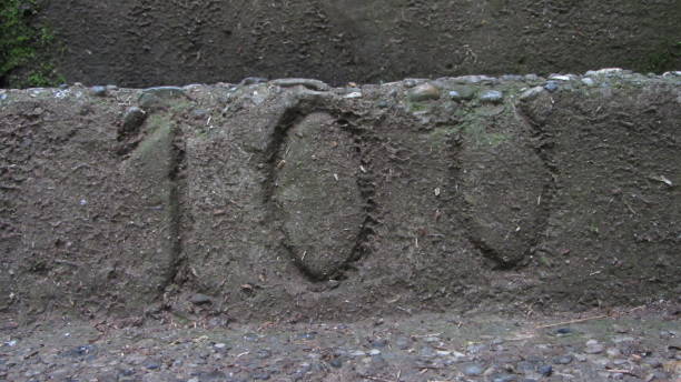 istock the number one hundred, an arabic numeral 1313618800
