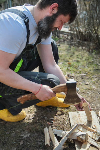 istock A bearded man in overalls chopping wood for a fire. Birch branches. 1313620253