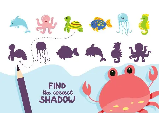 Vector illustration of find correct shadow