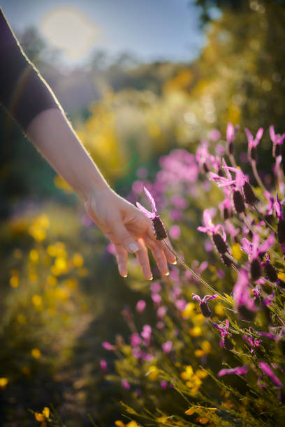 istock Young girl picking up flowers 1313624004