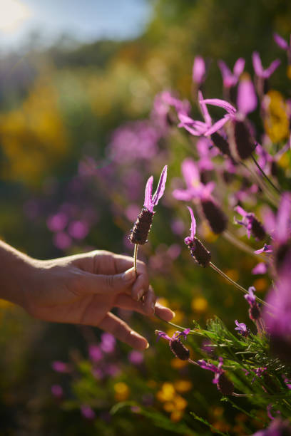 istock Young girl picking up flowers 1313624007