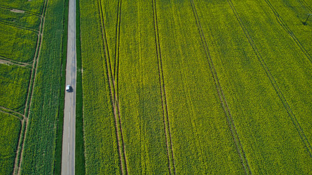 istock Car travelling on minor rural road between oilseed rape fields, North Yorkshire, England, Britain 1313624218