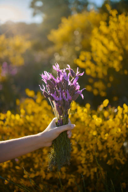 istock Young girl picking up flowers 1313624232