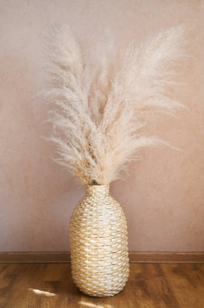 istock Pampas grass in a wicker vase on beige background. Cortaderia selloana. Front view. 1313626020