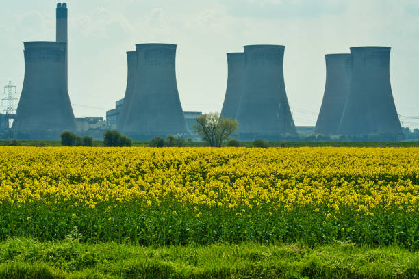 istock Decommissioned coal fired power station with oilseed rape field in foreground, Eggborough, North Yorkshire, England, Britain 1313626329