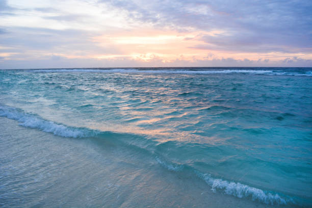 istock Beautiful sea wave and sky at sunset. Vacation , summer concept. 1313627029